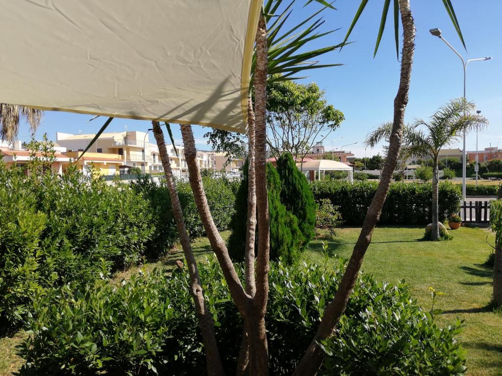 ein Zelt in einem Park mit Bäumen und Büschen in der Unterkunft Agua Marina in Avola