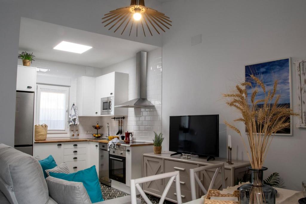 kuchnia z kanapą i telewizorem w pokoju w obiekcie Apartamentos Rurales Helechosa, Las Tres Peñas w mieście Helechosa