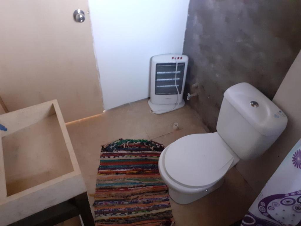 a bathroom with a white toilet and a radiator at Pez Espada in Punta del Este