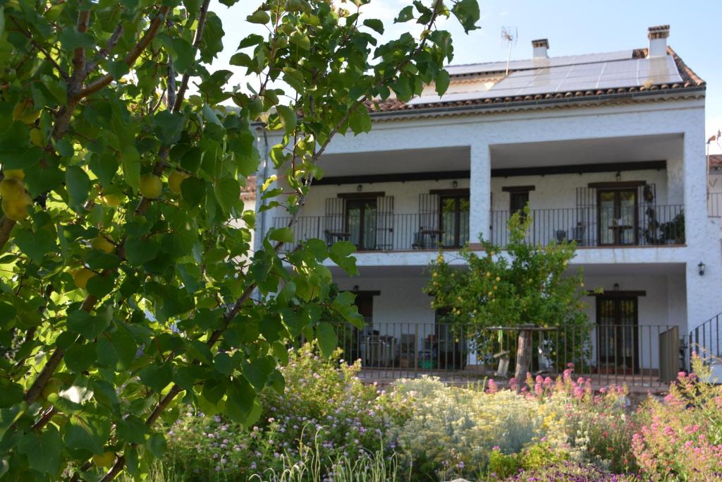 an old white building with a garden in front of it at Posada San Marcos in Alájar