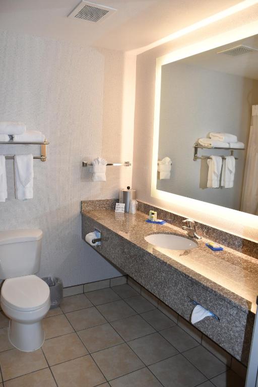 Holiday Inn Express & Suites Evanston by IHG - Standaard King Kamer Met Extra Vloerruimte