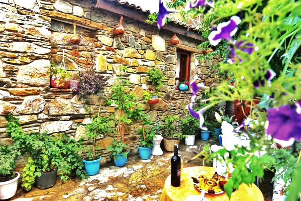 um monte de vasos de plantas em frente a uma parede de pedra em Sirincem Pension em Selçuk