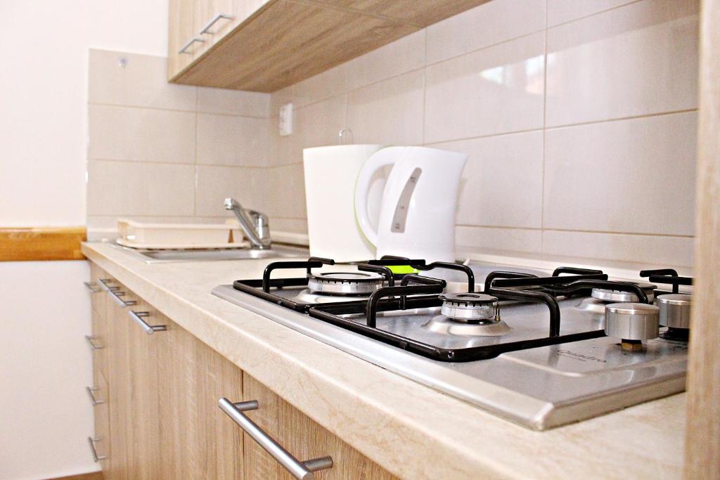 Kuchyňa alebo kuchynka v ubytovaní Studio Apartman Zara