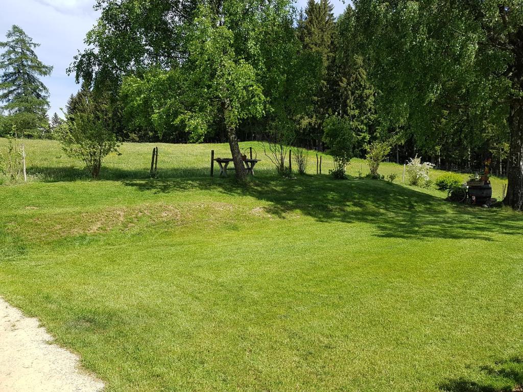 Příroda nedaleko apartmánu
