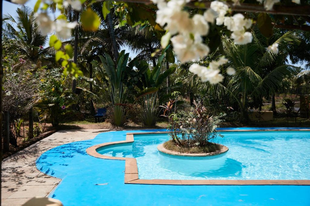 
a pool with flowers in it in front of a beach at Jamboree Creek Yoga in Mandrem
