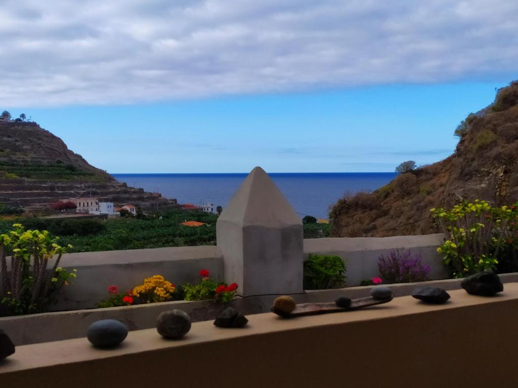 Príroda v okolí vily