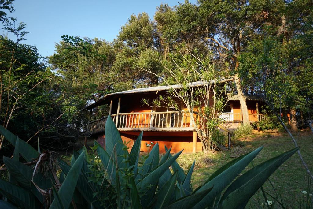 una casa nel bosco con una terrazza di Highcroft Retreat & Lodge a Umzumbe