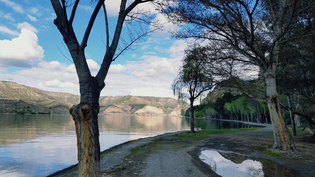 a path next to a body of water with trees at TU CASA EN MEQUINENZA CON WIFI in Mequinenza