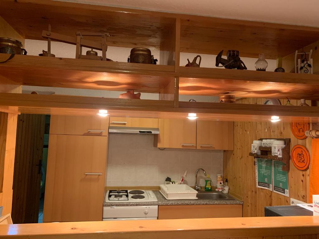 Kuchyň nebo kuchyňský kout v ubytování Apartma Metka