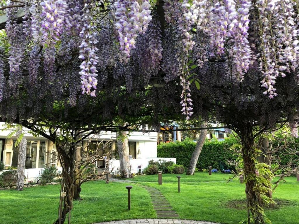 Zahrada ubytování Hotel Bracciotti