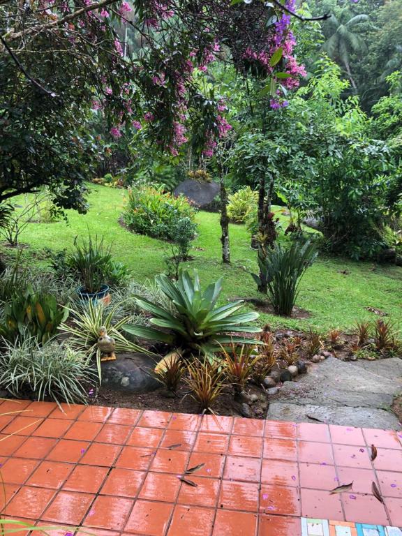  Sitio Jardim dos Colibris