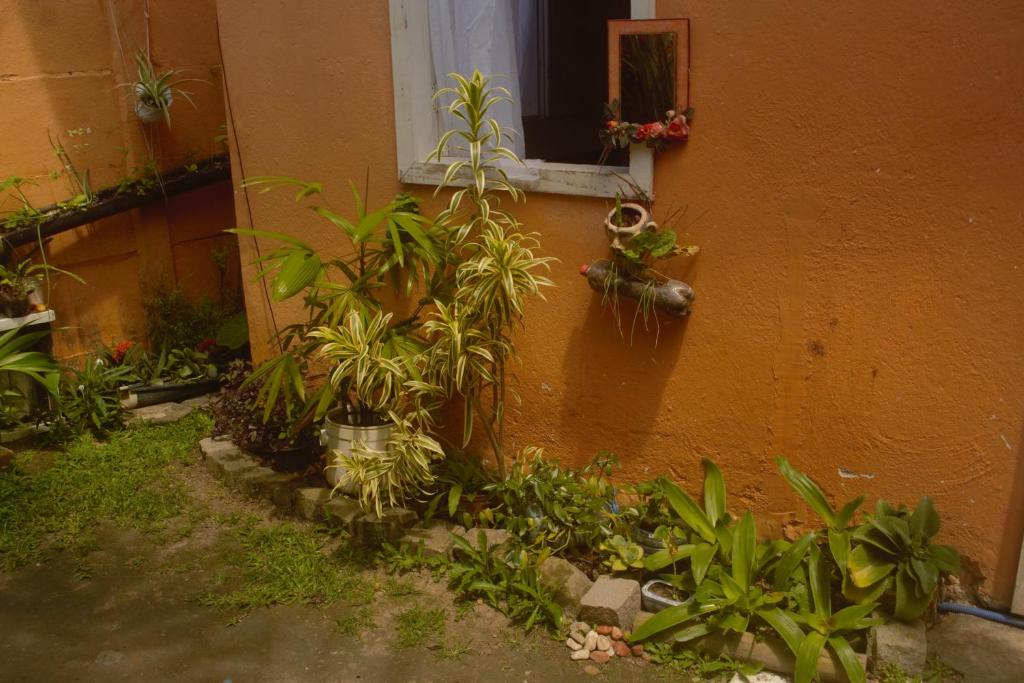  Casa Alcina