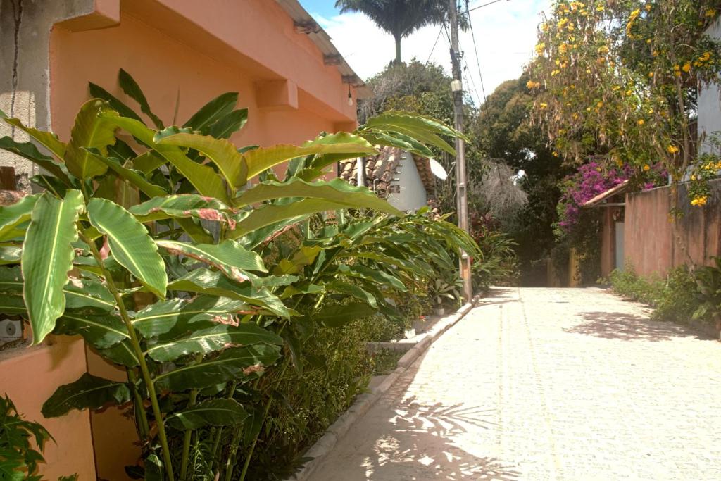  Casa Alcina