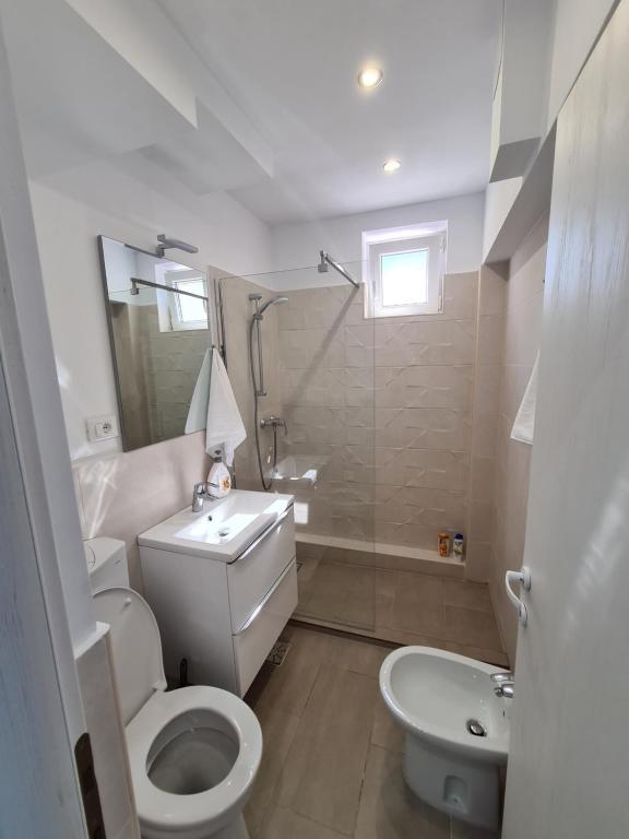 een badkamer met een toilet, een wastafel en een douche bij Mia Apartament in Tulcea
