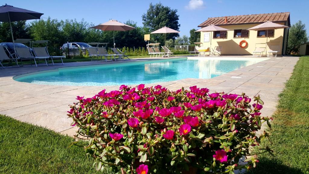 basen z różowymi kwiatami przed domem w obiekcie Punta dei Lecci w mieście Riparbella