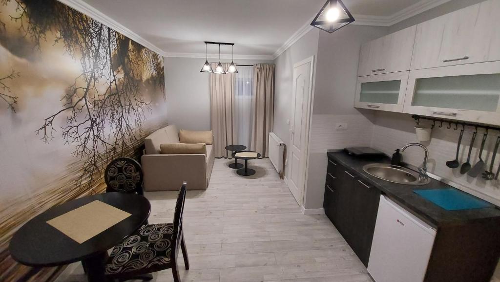 Kuchyň nebo kuchyňský kout v ubytování APARTMAN studio DADO