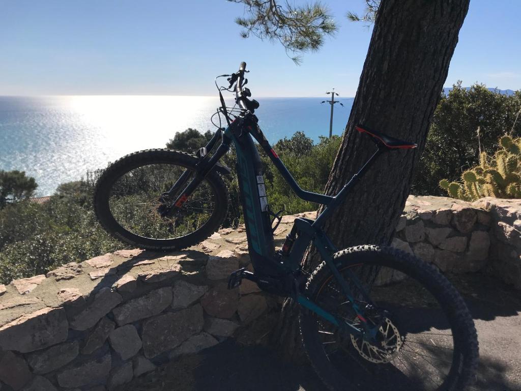 a bike parked next to a tree next to the ocean at Bike&Boat Argentario Hotel in Porto Santo Stefano
