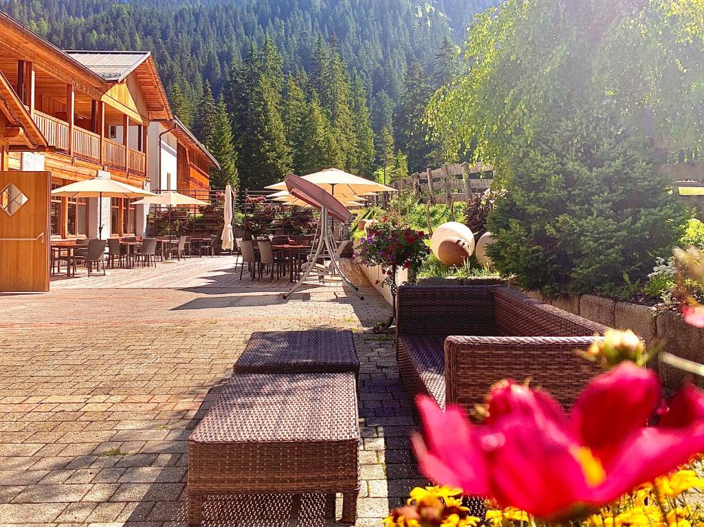 Příroda nedaleko hotelu