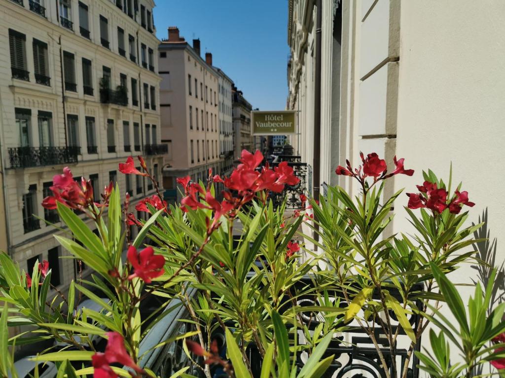 a group of red flowers on a city street at Hôtel Vaubecour in Lyon