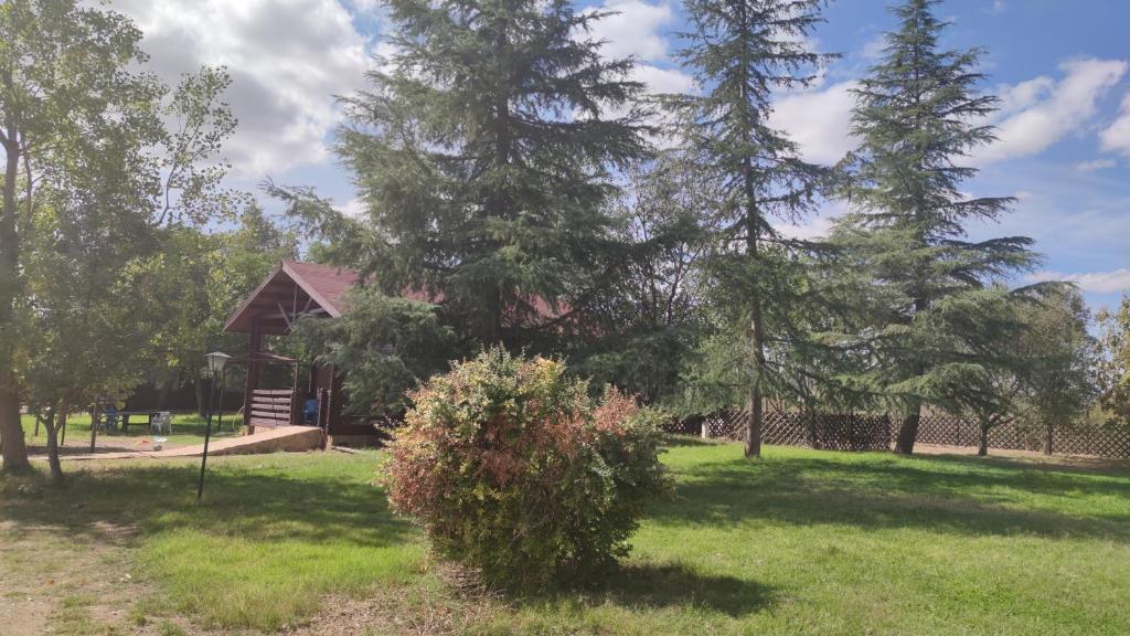 un patio con árboles y una casa al fondo en Tabla Honda, en El Robledo