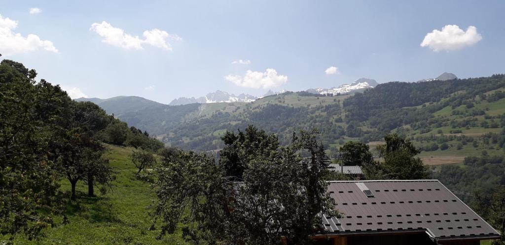 Příroda nedaleko apartmánu