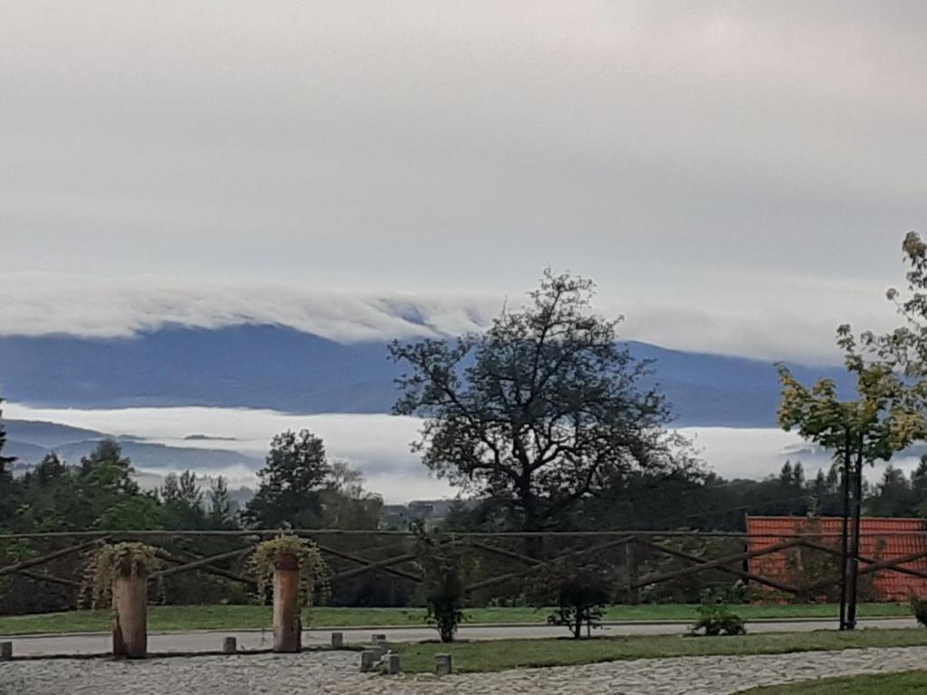 Agroturystyka Łysa Góra - 5