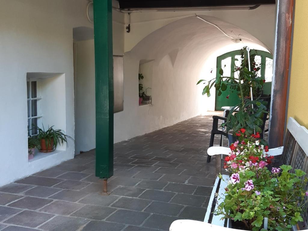 Zahrada ubytování Studio in Altstadthaus
