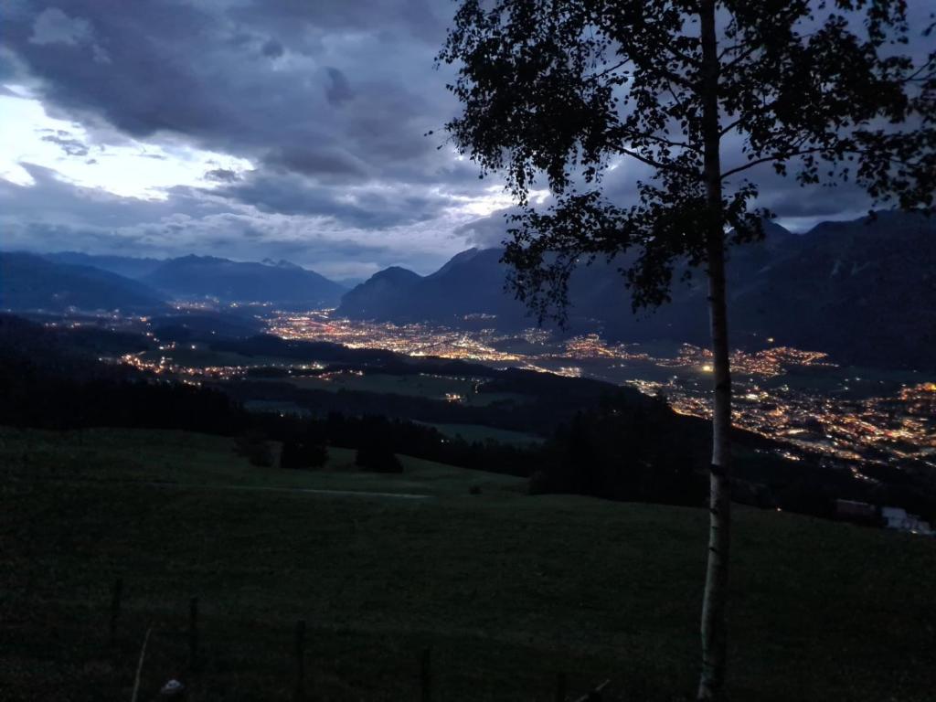 a view of a city from a hill with a tree at Walters Hütte in Tulfes