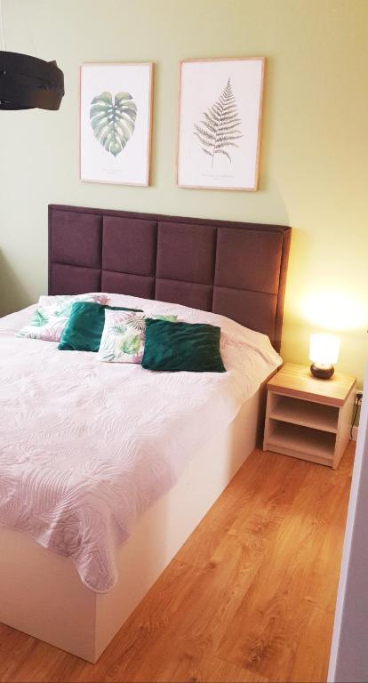 Apartament Zielony - Okrzei (Garaż, Targi) - Housity