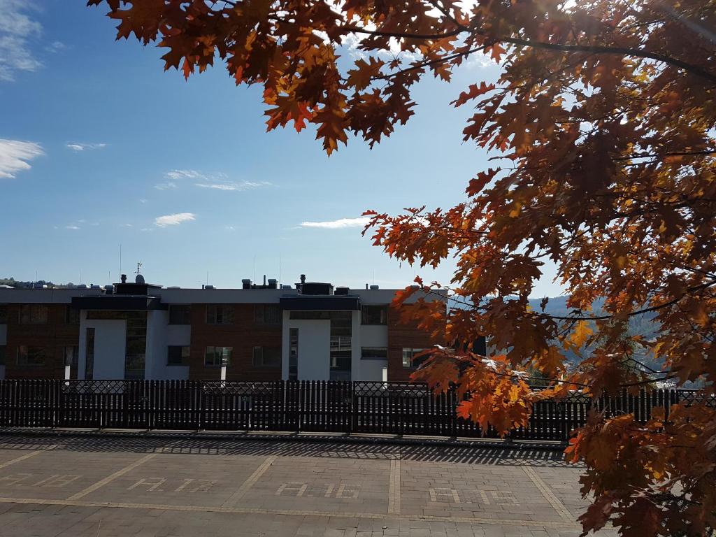 Příroda nedaleko apartmánu