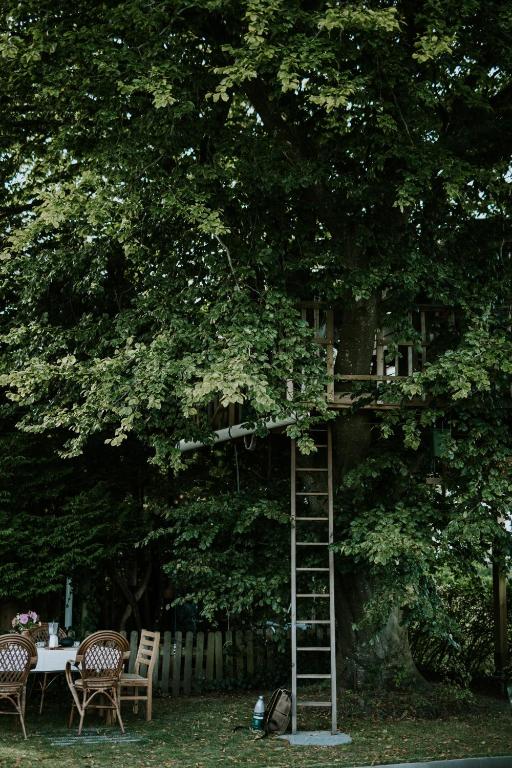 Zahrada ubytování Treehouse escape