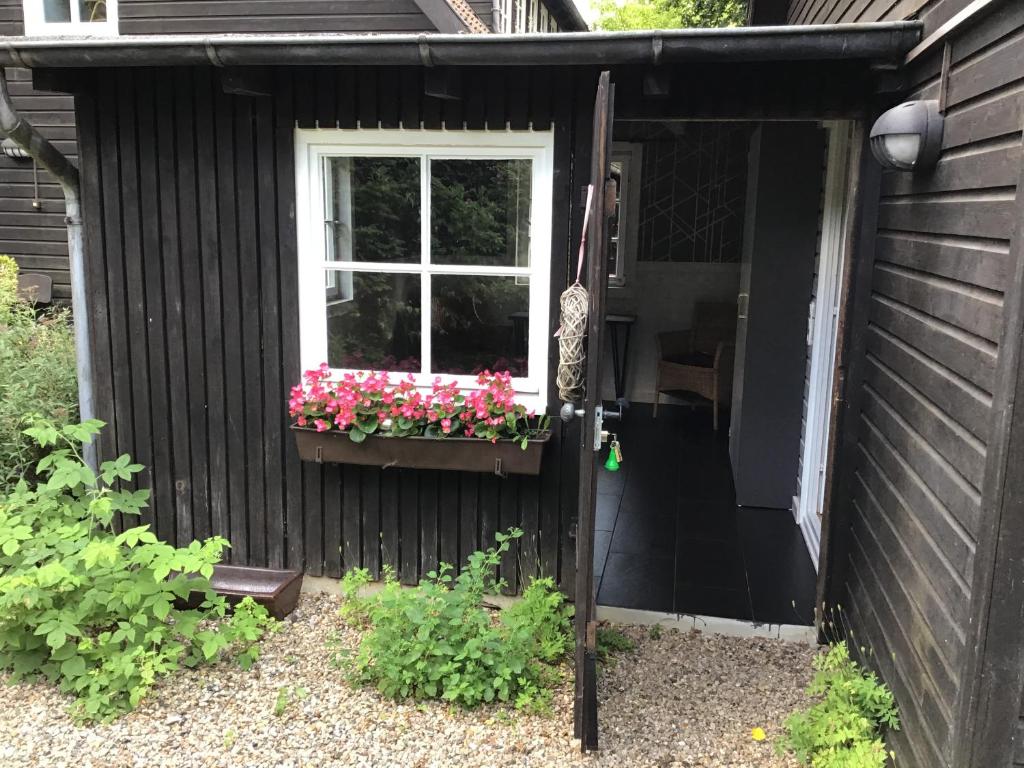 Zahrada ubytování Ferienhaus Fontane