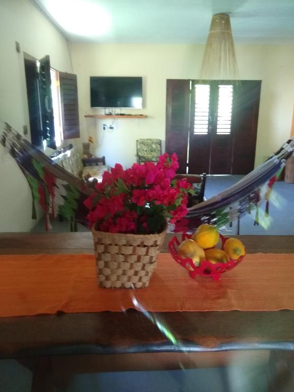  Casa verde