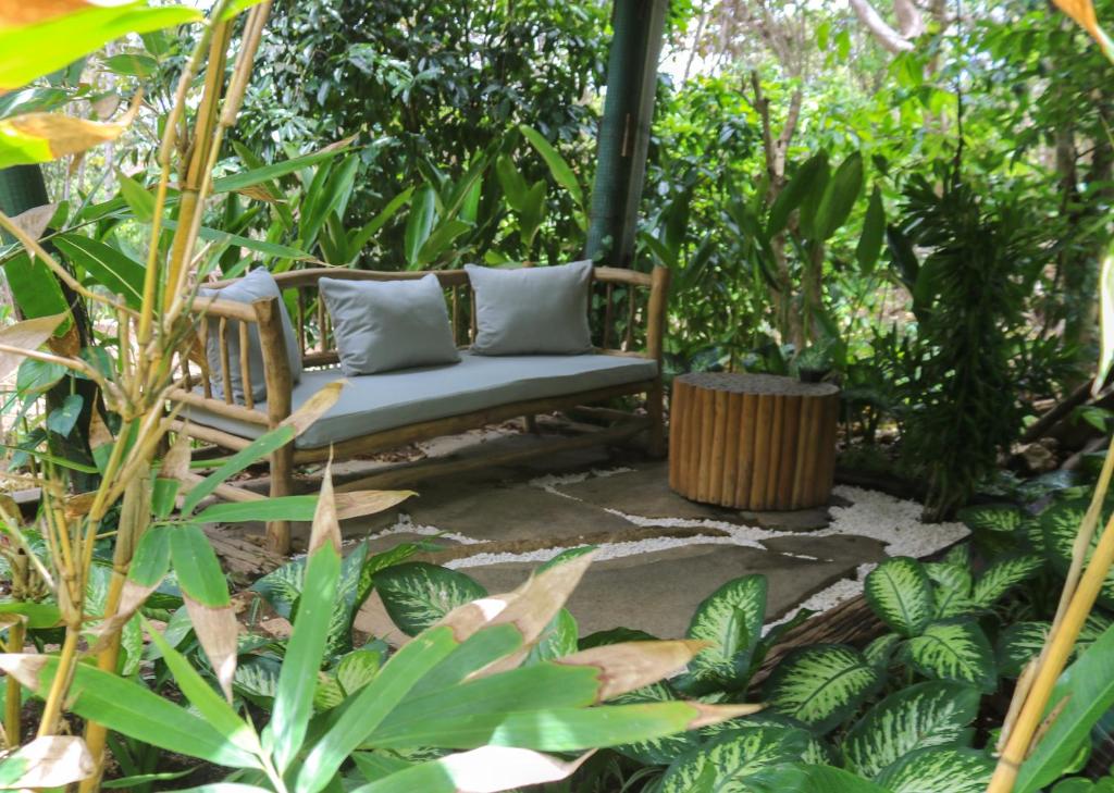 Roots Tree House - 2