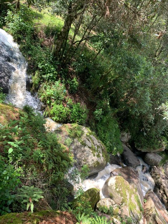 Fotografie z fotogalerie ubytování Cabaña Zacatlan Jacuzzi v destinaci Tomatlán