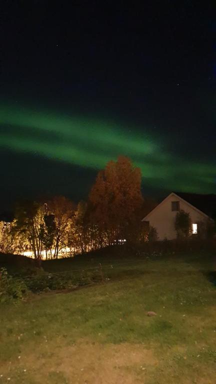 une image des lumières du nord dans le ciel dans l'établissement Strand Apartments, à Kvaloysletta