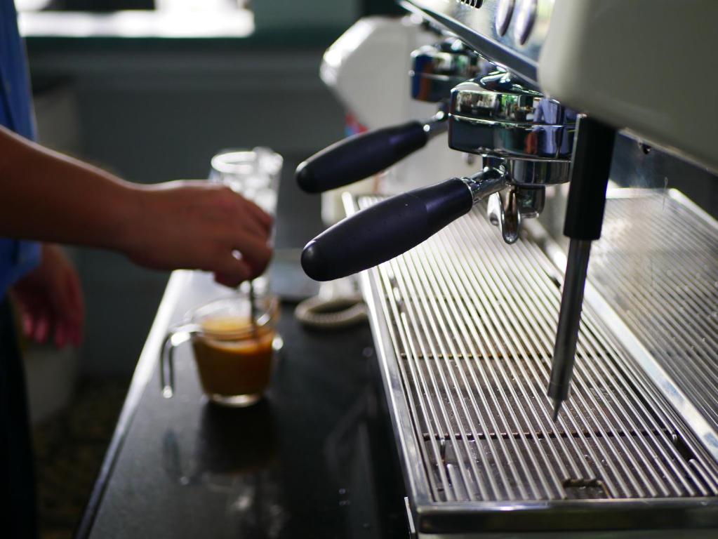 At Pingnakorn Huaykaew - Resim 43