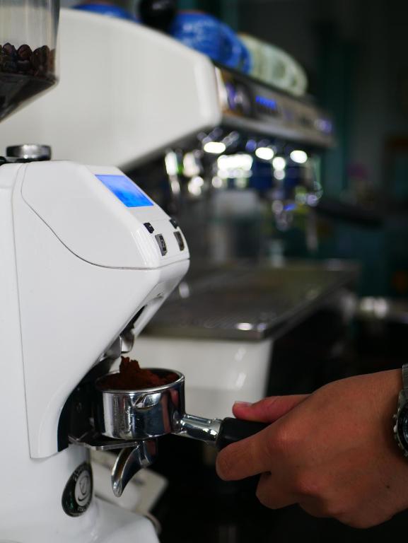 At Pingnakorn Huaykaew - Resim 38