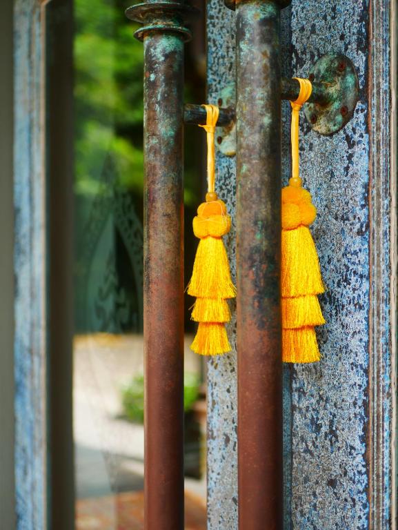 At Pingnakorn Huaykaew - Resim 29