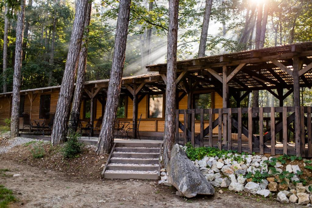 Zahrada ubytování Hotel Veverica