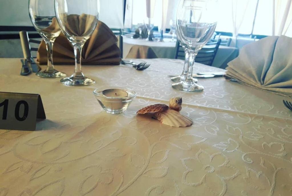 a table with wine glasses and a shell on it at Hotel Mariagrazia in Calopezzati