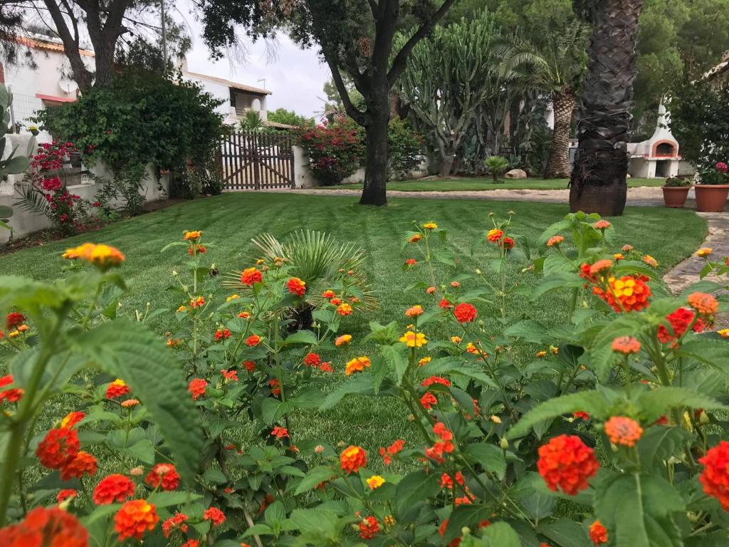 Fotografia z galérie ubytovania Villa Acquamarina Stella di Mare v destinácii Santa Luria
