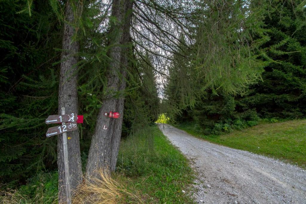 Příroda nedaleko apartmánu