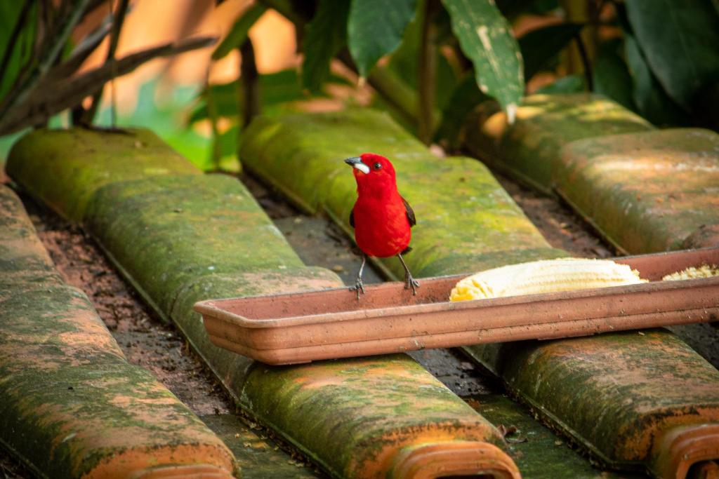  Pousada Ubatuba do Alto