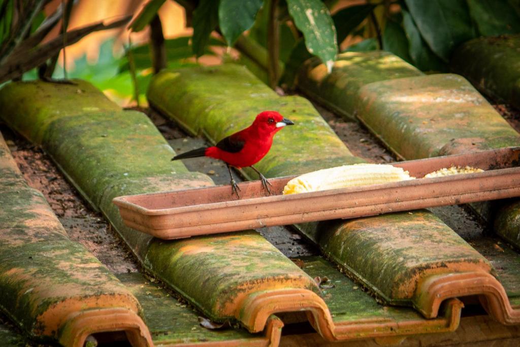  Pousada Ubatuba do Alto