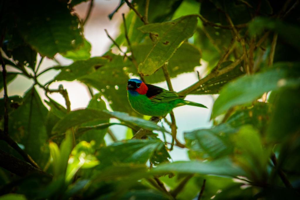  Pousada Ubatuba do Alto