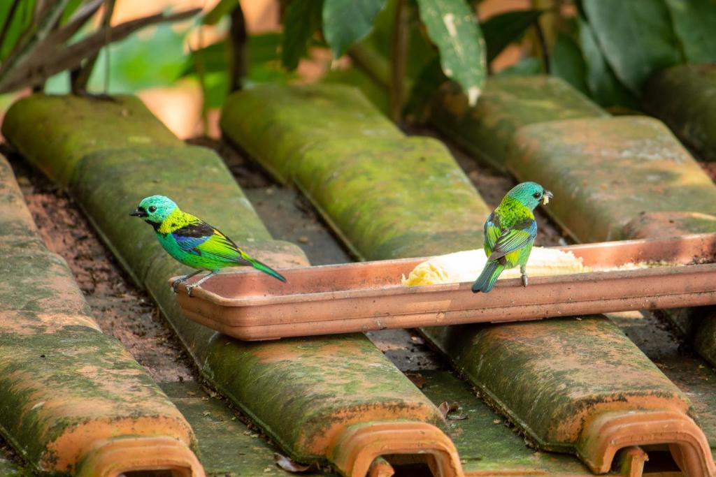  Pousada Ubatuba do Alto