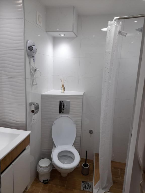 Vannituba majutusasutuses Iva Lux apartman