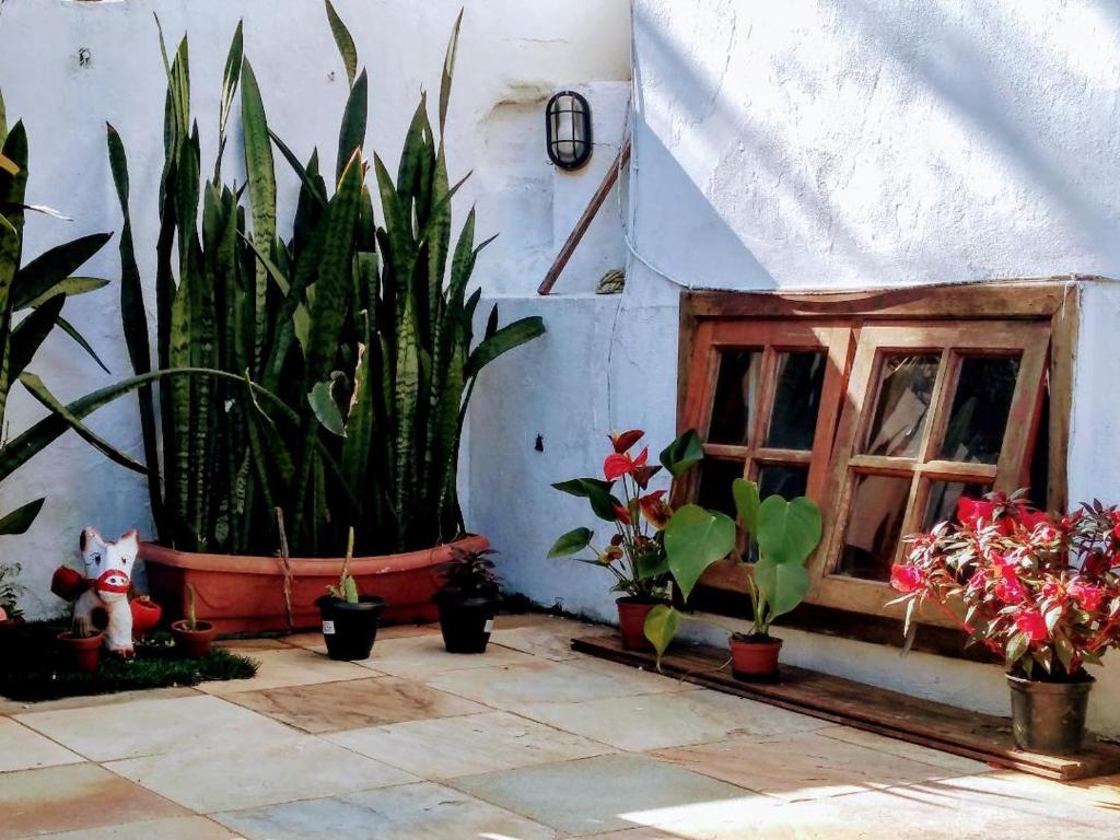  loft Geribá