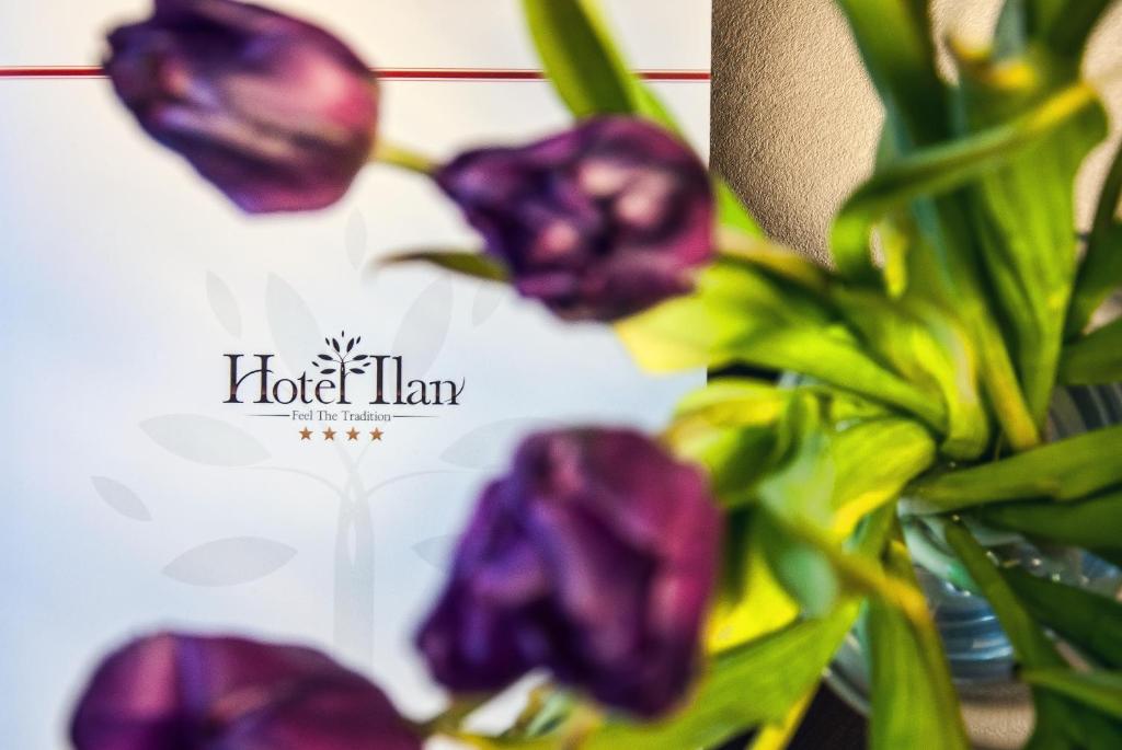 Hotel Ilan - Resim 16